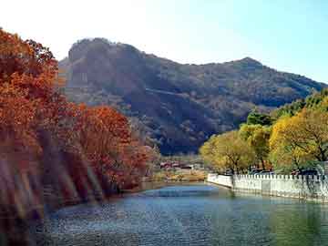 澳彩资料免费长期公开，郭晶晶整容